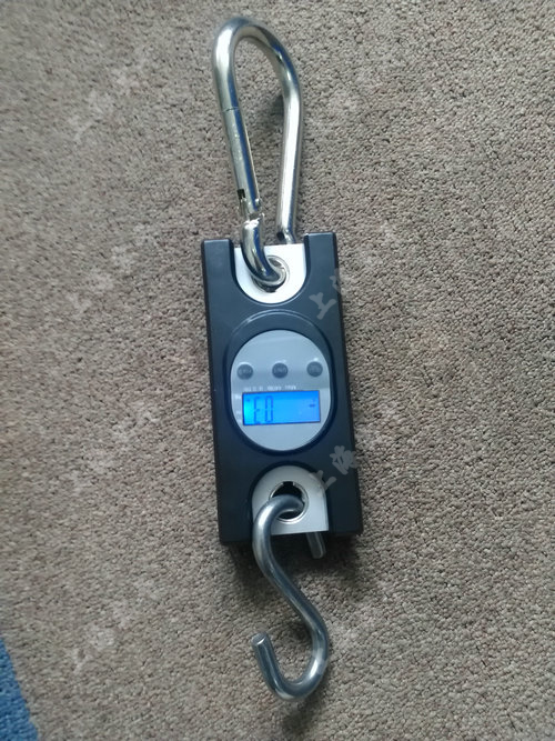 С���̟o��������Ӌ